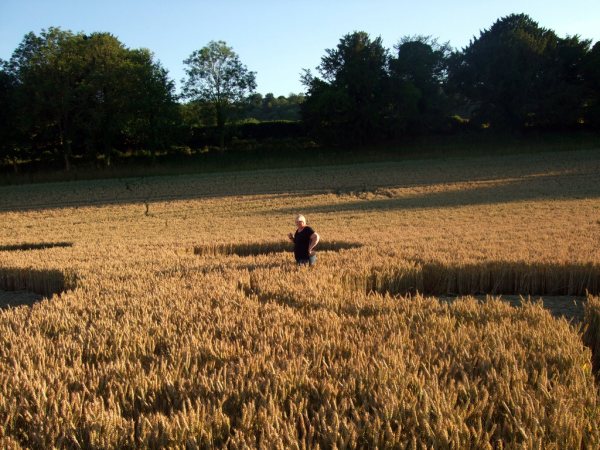 Farley Mount, Hampshire crop circle, aerial photo 38