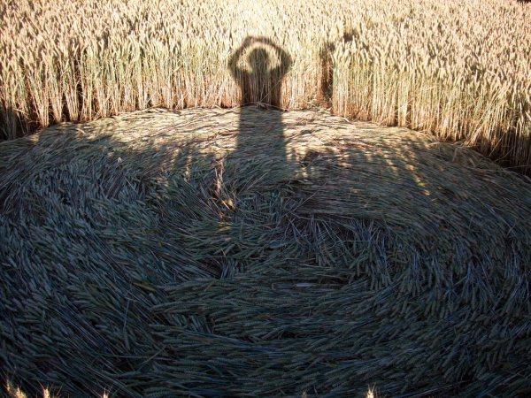 Farley Mount, Hampshire crop circle, aerial photo 37