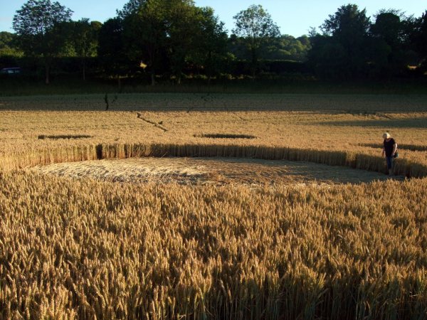 Farley Mount, Hampshire crop circle, aerial photo 35