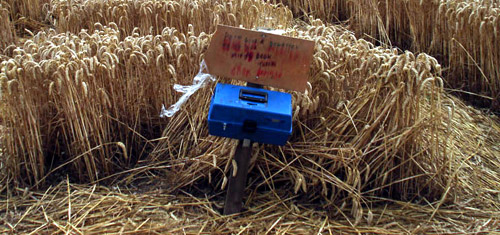 Fosbury, Wiltshire crop circle, aerial photo 2