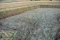 Fosbury, Wiltshire crop circle, aerial photo 93