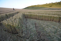 Fosbury, Wiltshire crop circle, aerial photo 90