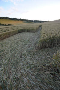 Fosbury, Wiltshire crop circle, aerial photo 99