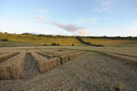 Fosbury, Wiltshire crop circle, aerial photo 98