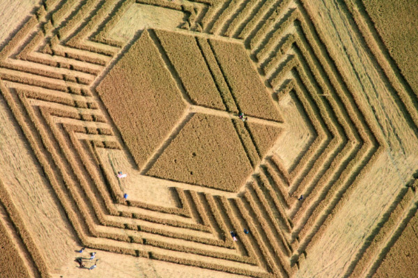 Fosbury, Wiltshire crop circle, aerial photo 7