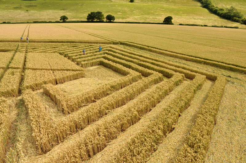 Fosbury, Wiltshire crop circle, aerial photo 69