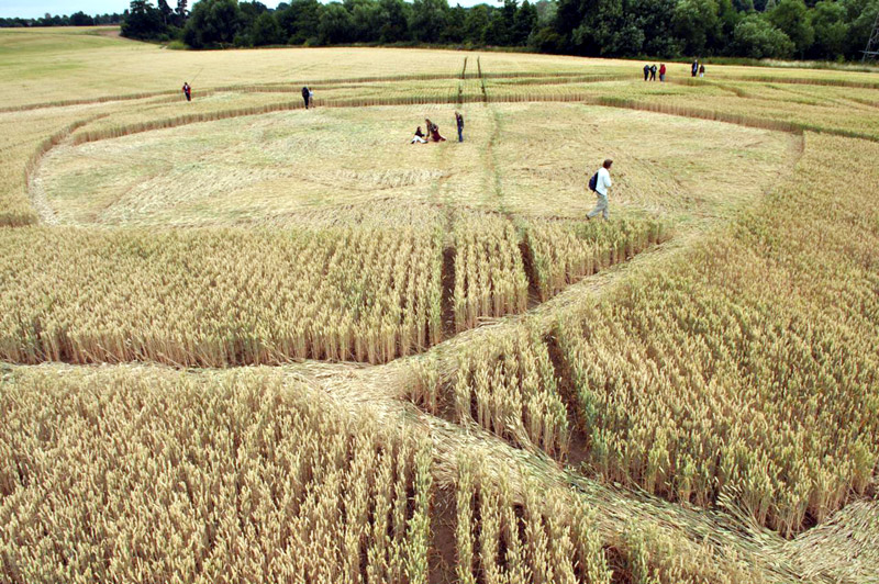 Guys Cliffe, Warwickshire crop circle, aerial photo 66