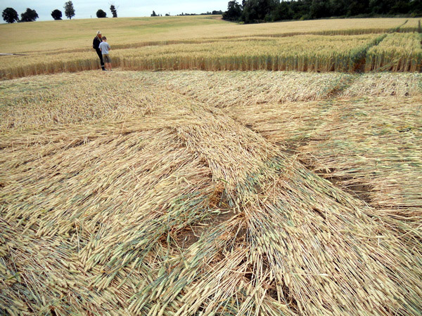 Guys Cliffe, Warwickshire crop circle, aerial photo 79