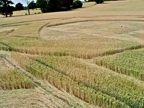 Guys Cliffe, Warwickshire crop circle, aerial photo 75