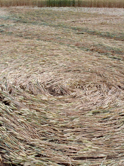 Guys Cliffe, Warwickshire crop circle, aerial photo 78