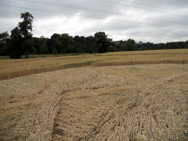 Guys Cliffe, Warwickshire crop circle, aerial photo 81
