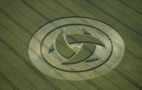 Guys Cliffe, Warwickshire crop circle, aerial photo 39