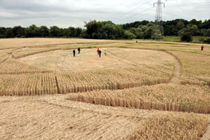 Guys Cliffe, Warwickshire crop circle, aerial photo 42