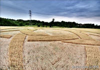 Guys Cliffe, Warwickshire crop circle, aerial photo 89