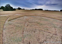 Guys Cliffe, Warwickshire crop circle, aerial photo 92