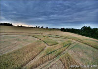 Guys Cliffe, Warwickshire crop circle, aerial photo 97