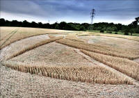 Guys Cliffe, Warwickshire crop circle, aerial photo 83