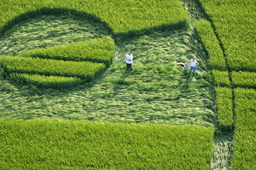 Liddington Castle, Wiltshire crop circle, aerial photo 18