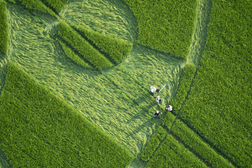 Liddington Castle, Wiltshire crop circle, aerial photo 17