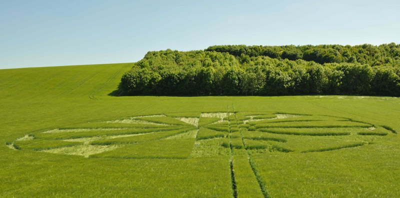 Liddington Castle, Wiltshire crop circle, aerial photo 97
