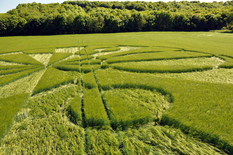 Liddington Castle, Wiltshire crop circle, aerial photo 98