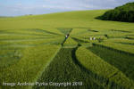 Liddington Castle, Wiltshire crop circle, aerial photo 112