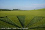 Liddington Castle, Wiltshire crop circle, aerial photo 105