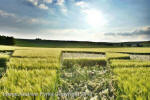 Liddington Castle, Wiltshire crop circle, aerial photo 110