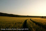 Liddington Castle, Wiltshire crop circle, aerial photo 126
