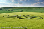 Liddington Castle, Wiltshire crop circle, aerial photo 120