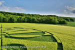 Liddington Castle, Wiltshire crop circle, aerial photo 108
