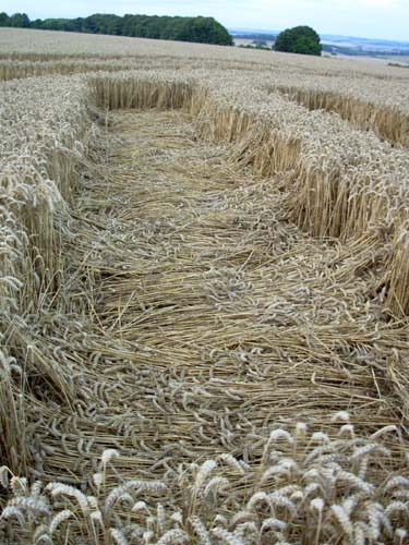 Kennett, Wiltshire crop circle, aerial photo 24