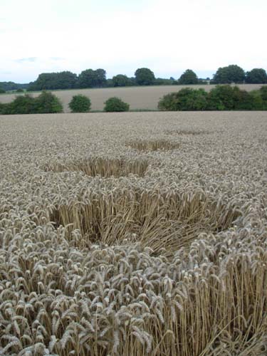 Kennett, Wiltshire crop circle, aerial photo 21