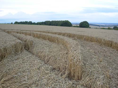 Kennett, Wiltshire crop circle, aerial photo 20