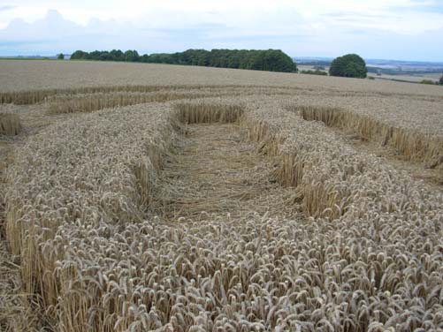 Kennett, Wiltshire crop circle, aerial photo 16