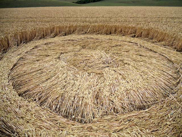 Lurkeley Hill, Wiltshire crop circle, aerial photo 65