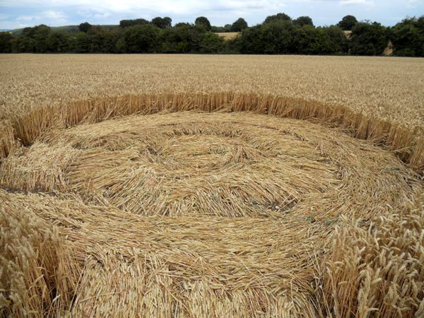 Lurkeley Hill, Wiltshire crop circle, aerial photo 66