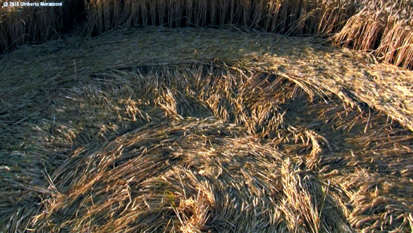 Lurkeley Hill, Wiltshire crop circle, aerial photo 63