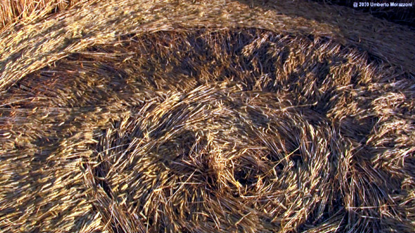 Lurkeley Hill, Wiltshire crop circle, aerial photo 61