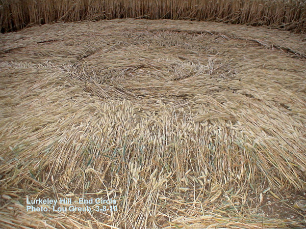 Lurkeley Hill, Wiltshire crop circle, aerial photo 37