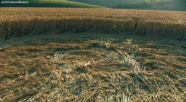 Lurkeley Hill, Wiltshire crop circle, aerial photo 57