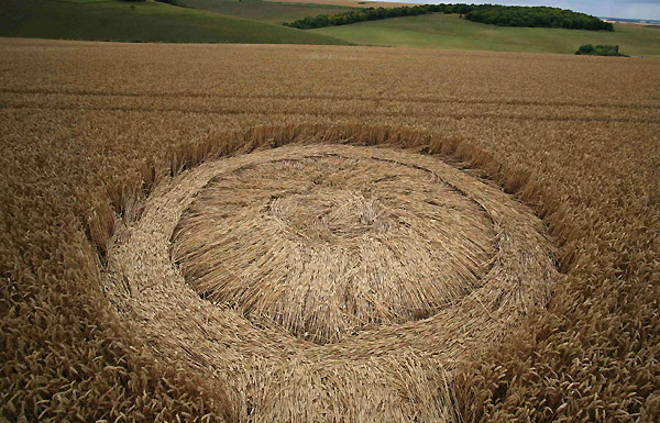 Lurkeley Hill, Wiltshire crop circle, aerial photo 31