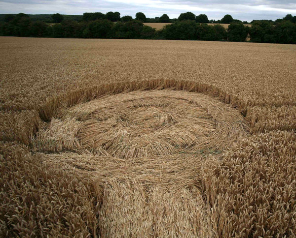 Lurkeley Hill, Wiltshire crop circle, aerial photo 33