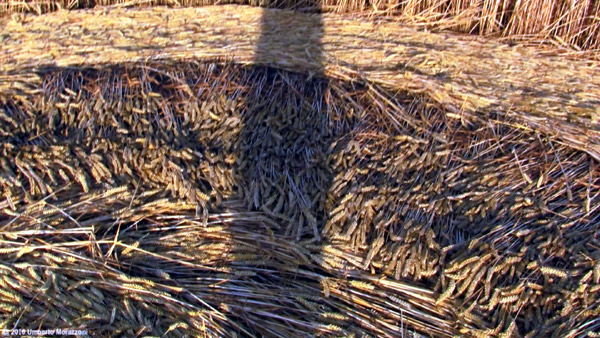 Lurkeley Hill, Wiltshire crop circle, aerial photo 53