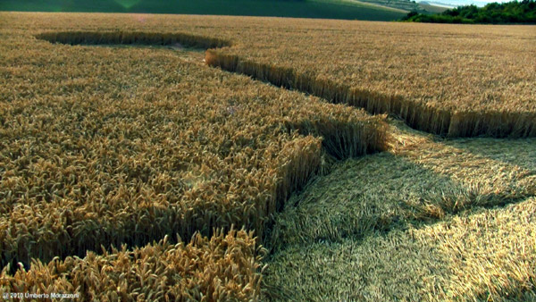 Lurkeley Hill, Wiltshire crop circle, aerial photo 49