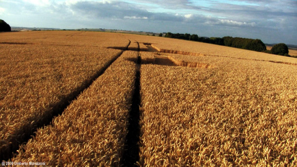 Lurkeley Hill, Wiltshire crop circle, aerial photo 41