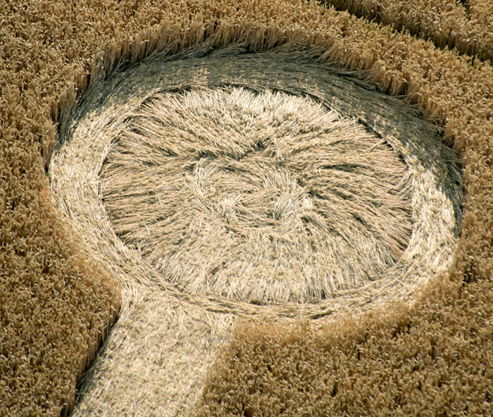 Lurkeley Hill, Wiltshire crop circle, aerial photo 8