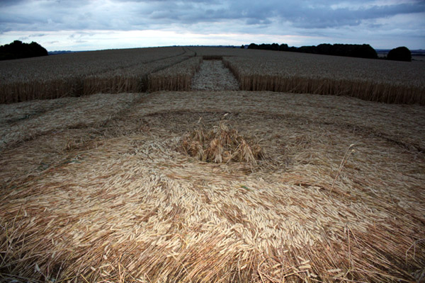 Lurkeley Hill, Wiltshire crop circle, aerial photo 28