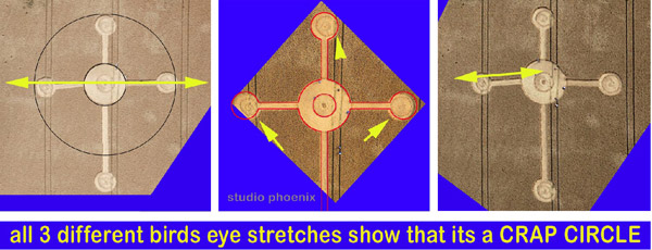 Lurkeley Hill, Wiltshire crop circle, aerial photo 26