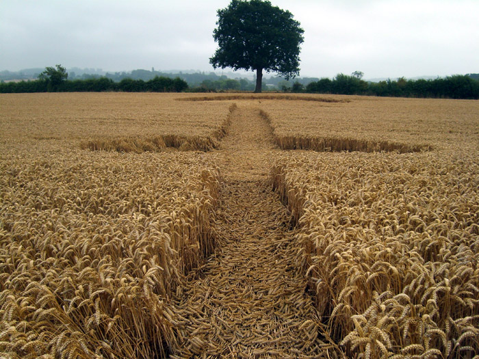 Mudford, Somerset crop circle, aerial photo 7